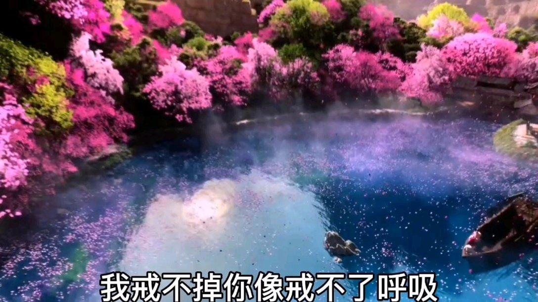 证券代码：600638    证券简称：新黄浦    编号：临2024-001